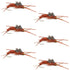 Tungsten Bead Kaufmann's Brown Stone Fly with Rubber Legs - Stonefly Wet Fly - 6 Flies Hook Size 12