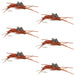Tungsten Bead Kaufmann's Brown Stone Fly with Rubber Legs - Stonefly Wet Fly - 6 Flies Hook Size 12
