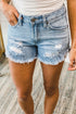 Stylish High Waist Distressed Denim Shorts