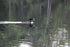 Katahdin Woods & Waters National Monument Trail Map