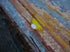 Beach At Sunset Mosaic - The Cabin