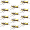 Mantis BLT Foam Body Grasshopper Fly - 1 Dozen Flies Hook Size 10