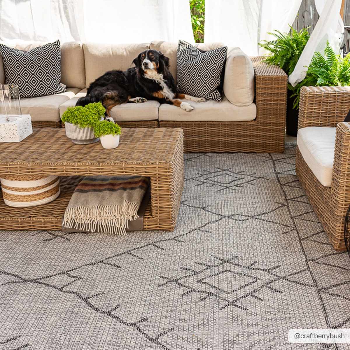 Alfombra nórdica de alto rendimiento Marwood 