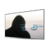 100''-180'' Matte White Screen