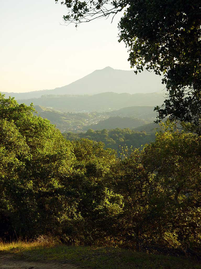 Mt. Tam Hiking Trail Map