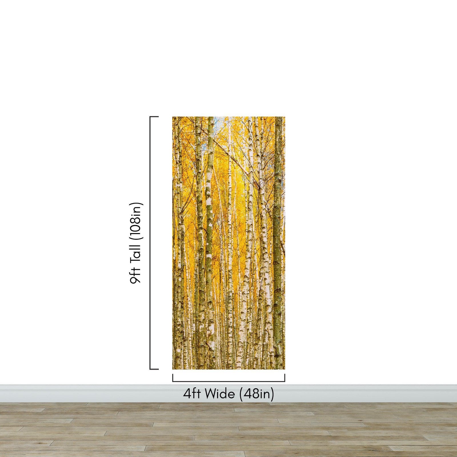Mural de pared con bosque de abedules y paisaje otoñal | Papel pintado autoadhesivo. #6202