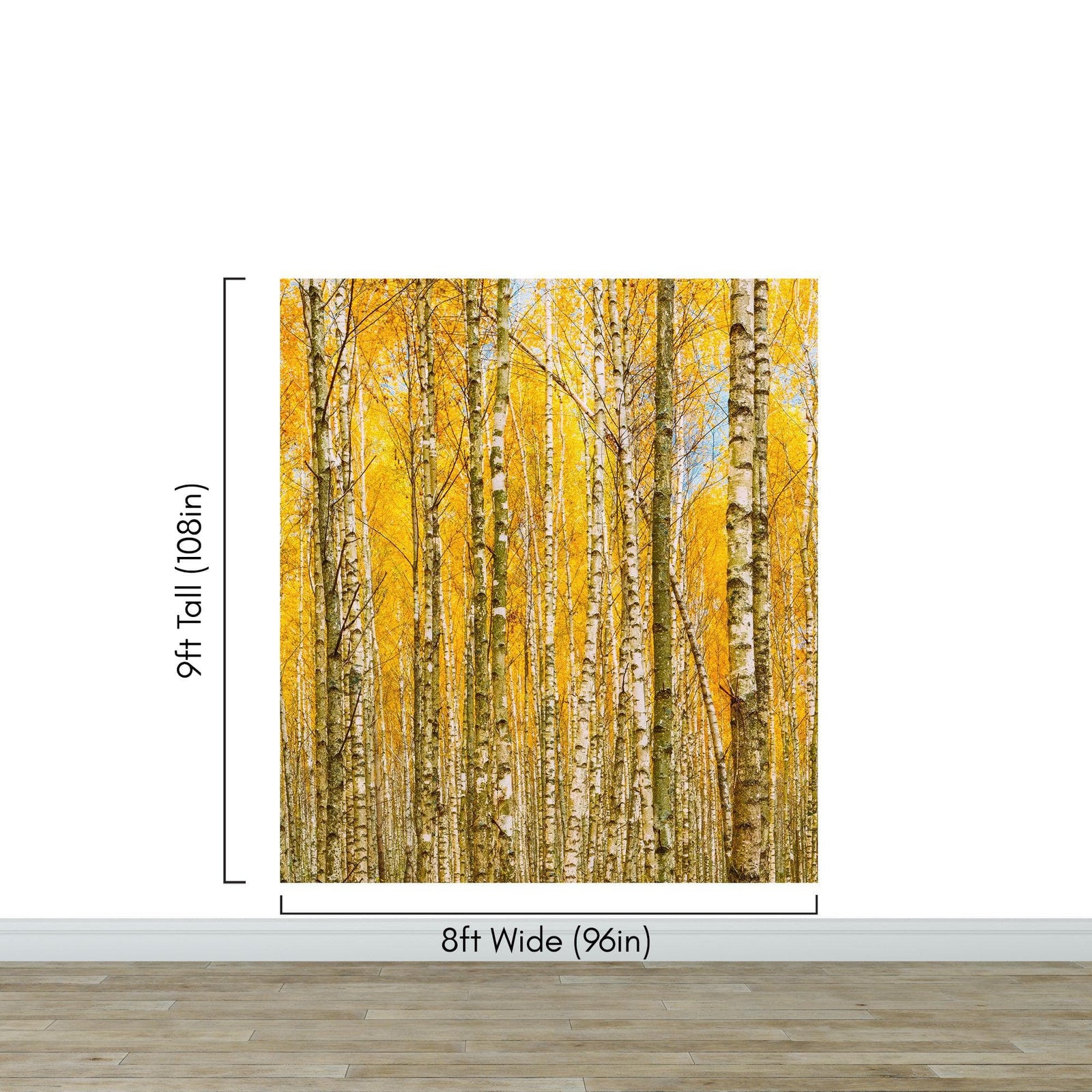 Mural de pared con bosque de abedules y paisaje otoñal | Papel pintado autoadhesivo. #6202
