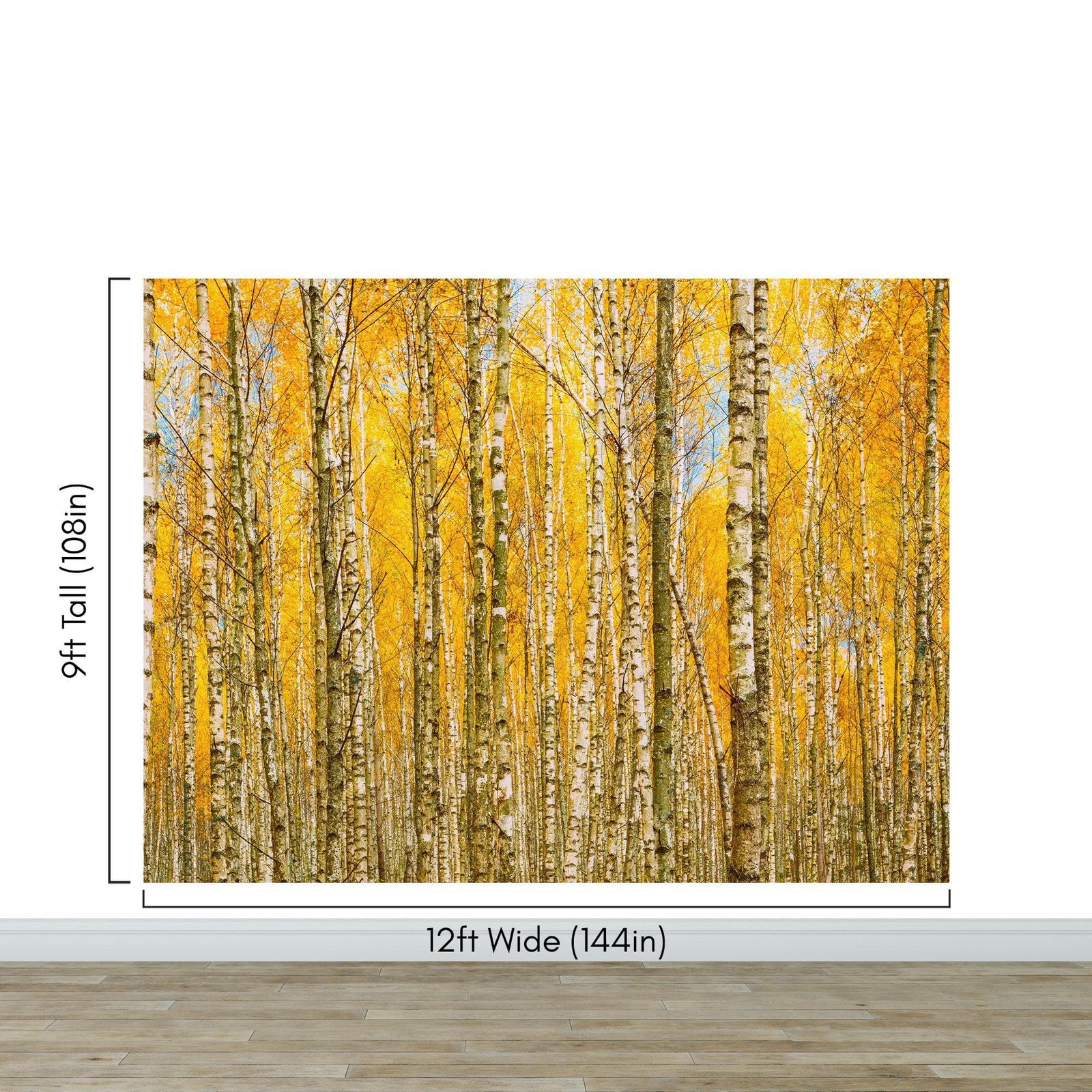Mural de pared con bosque de abedules y paisaje otoñal | Papel pintado autoadhesivo. #6202