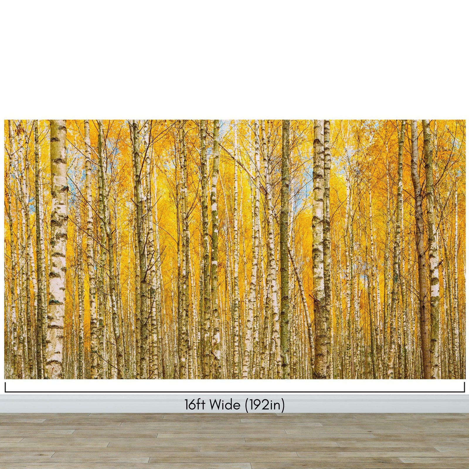 Mural de pared con bosque de abedules y paisaje otoñal | Papel pintado autoadhesivo. #6202