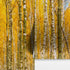 Mural de pared con bosque de abedules y paisaje otoñal | Papel pintado autoadhesivo. #6202