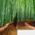 Mural de pared del bosque de bambú japonés Arashiyama Woods n.° 6043