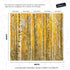 Mural de pared con bosque de abedules y paisaje otoñal | Papel pintado autoadhesivo. #6202