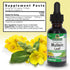 Extracto de hoja de gordolobo de Nature's Answer sin alcohol, apoyo respiratorio, 30 ml