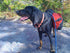 Camden Hills Hiking Trail Map