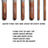 Super Dome Powder Brush - F1