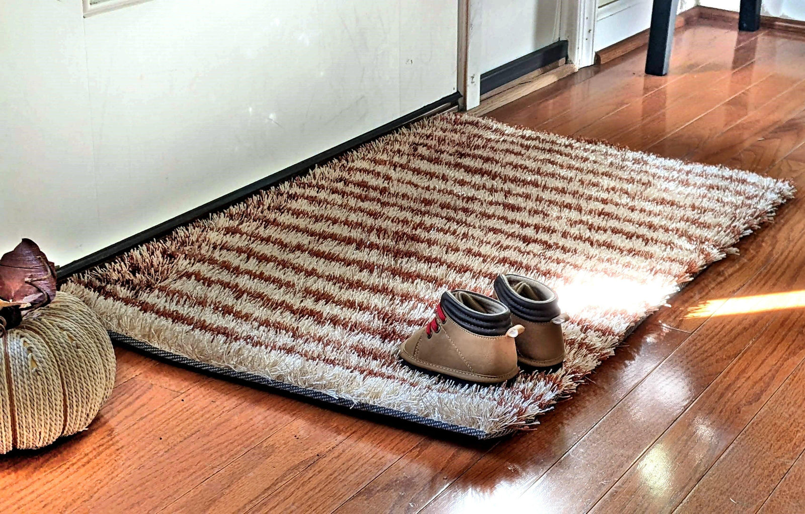 DaDa Bedding Shaggy Soft Door Mat Carpet Rug - 20