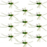 Barbless Pat's Rubber Legs Tungsten Bead Jigged Black/Chartreuse Euro Nymph  - Set of 12 Flies Hook Size 10