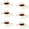 Barbless Pat's Rubber Legs Tungsten Bead Jigged Brown Euro Nymph  - Set of 6 Flies Hook Size 10