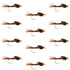 Tungsten Bead Head  Pheasant Tail Nymph 1 Dozen Flies  Size 18