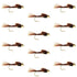 Tungsten Bead Head  Pheasant Tail Nymph 1 Dozen Flies  Size 10