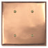 Raw Copper - 2 Blank Wallplate