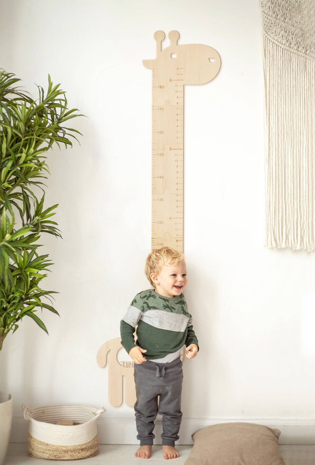 Tiny Land Growth Chart