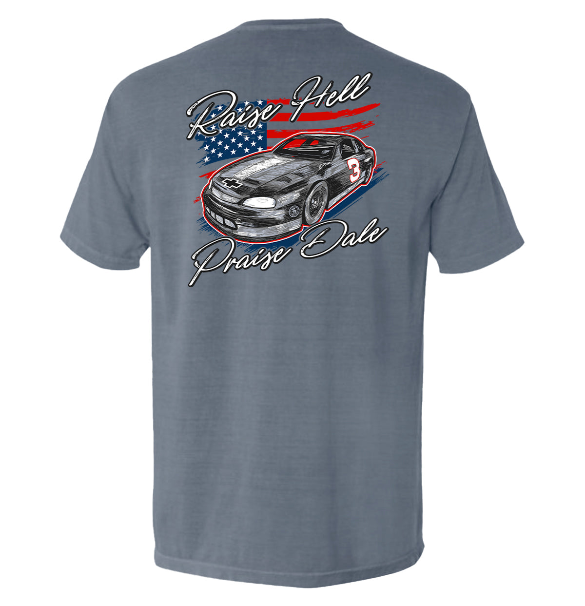 Raise Hell Praise Dale T Shirt
