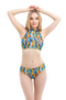 Feathers Classic Bikini (Bottom)
