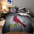 Juego de cama de los St. Louis Cardinals con funda de edredón y relleno