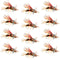 Kaufmann's Royal Crystal Stimulator Rubber Legs Dry Fly - 1 Dozen Flies Hook Size 10