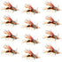 Kaufmann's Royal Crystal Stimulator Rubber Legs Dry Fly - 1 Dozen Flies Hook Size 10