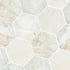 Arabescato Venato 8" Hexagon Suelo y Pared - Colección MSI
