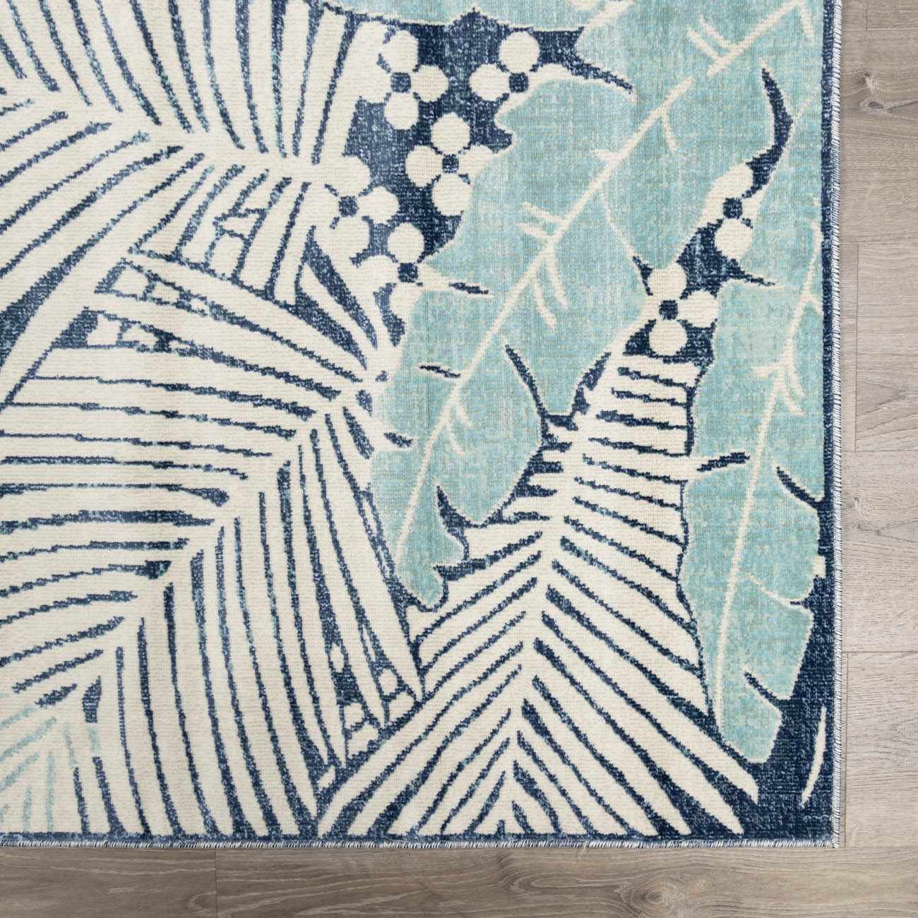 Alfombra de palmeras azules costeras de Thebarton
