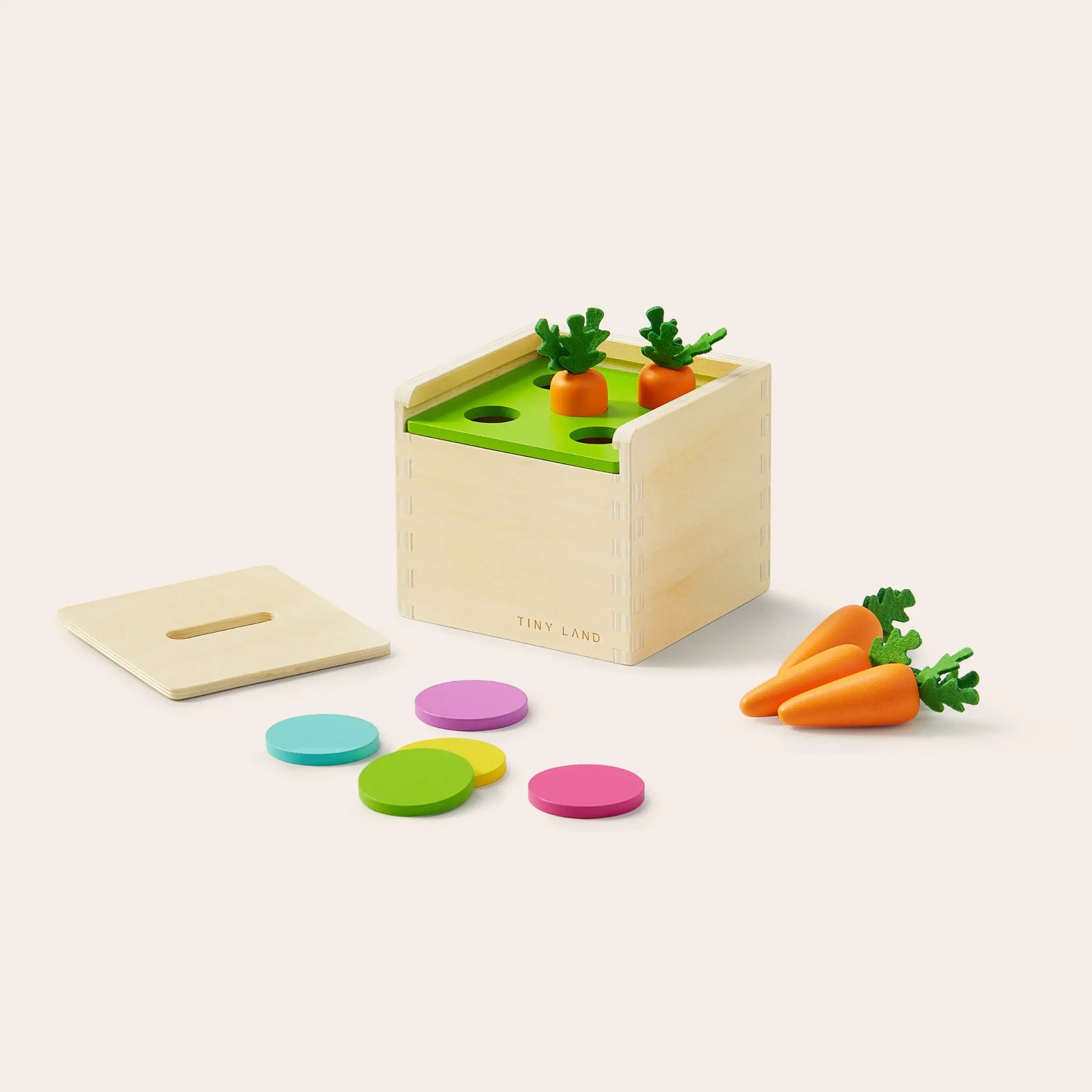 Tiny Land Montessori Toys Set for Toddlers (13-15 month)