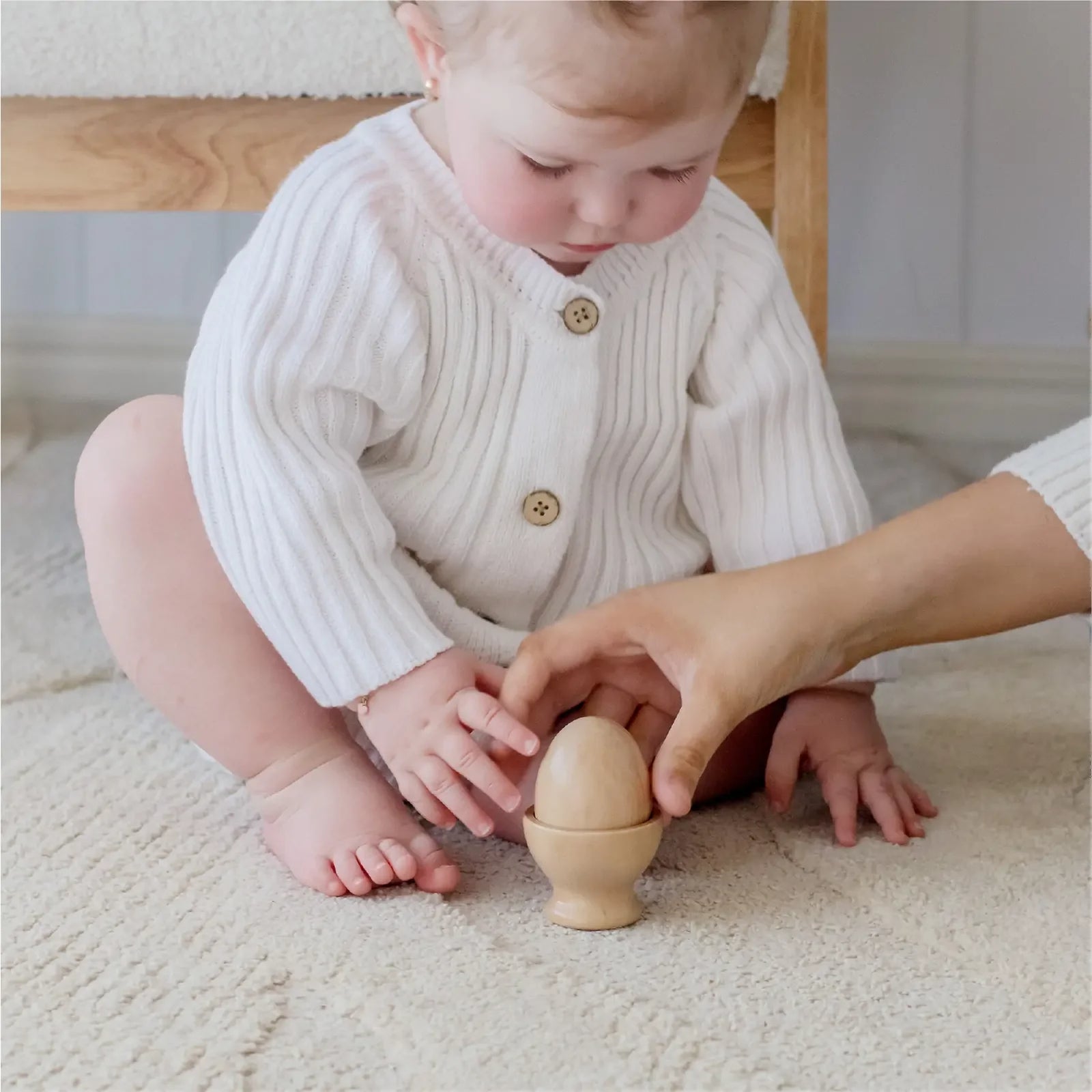 Tiny Land Montessori Toys Set for Infants (10-12 month)