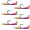 Tungsten Bead Hot Spot Purple Perdigon Tactical Jig Spanish Czech Euro Nymph Fly - 6 Flies Size 14