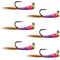 Tungsten Bead Hot Spot Purple Perdigon Tactical Jig Spanish Czech Euro Nymph Fly - 6 Flies Size 16