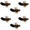 Tungsten Bead Black Mop Fly Tactical Jig Czech Euro Nymph Barbless Fly 6 Flies - Size 14