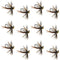 Tungsten Bead Soft Hackle Pheasant Tail Tactical Jig Czech Nymph Euro Nymphing Fly - 1 Dozen Flies Size 12
