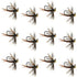 Tungsten Bead Soft Hackle Pheasant Tail Tactical Jig Czech Nymph Euro Nymphing Fly - 1 Dozen Flies Size 12