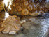 Point Reyes Hiking Trail Map