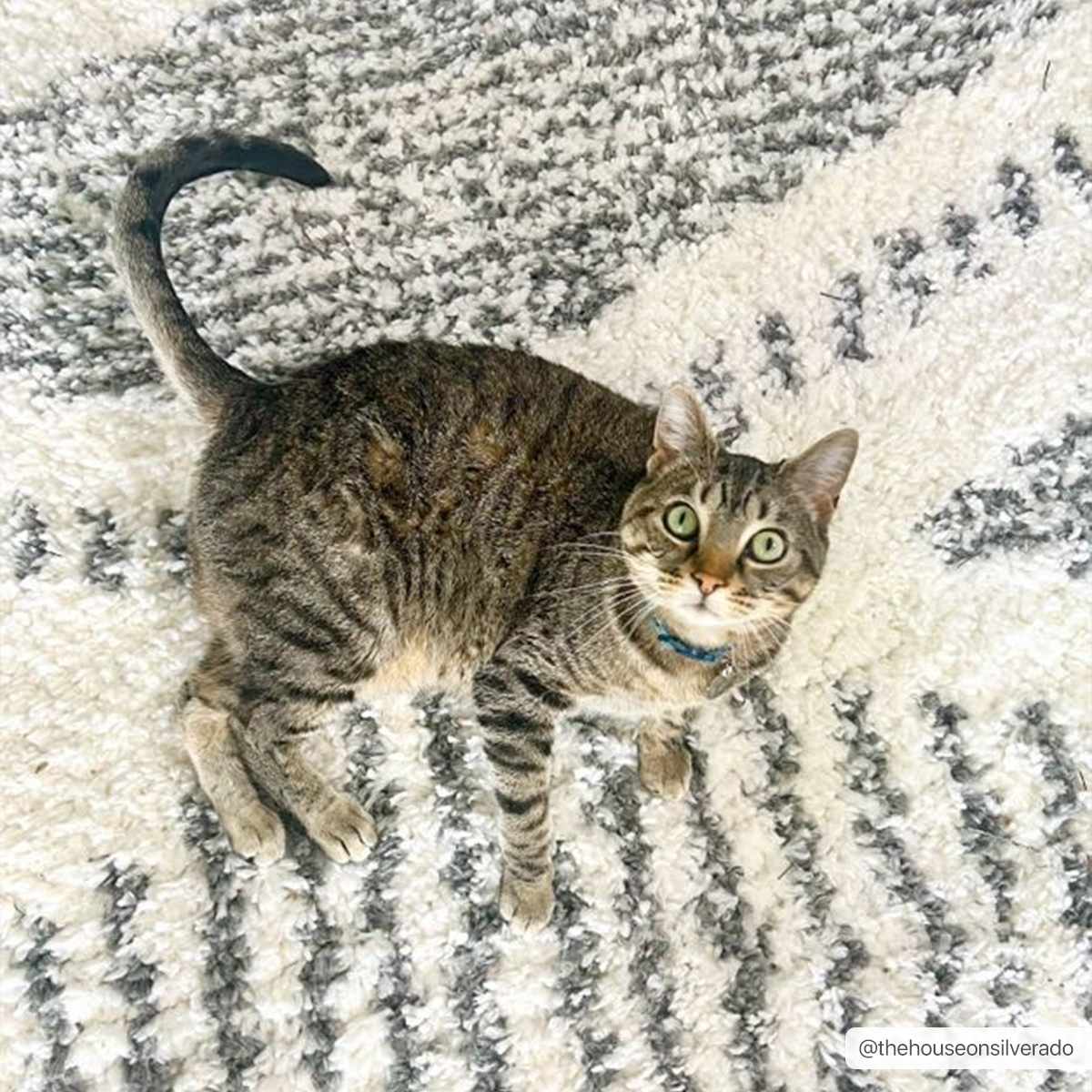 Alfombra de felpa de Trunding