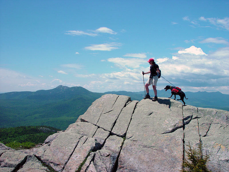 White Mountains Hiking Trail Map