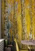 Mural de pared con bosque de abedules y paisaje otoñal | Papel pintado autoadhesivo. #6202