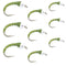 Olive Zebra Midge Assortment 3 Each of 3 Sizes 14, 16, 18 - Tailwater Fly Fishing Flies Collection