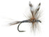 3 Pack Adams Classic Dry Fly - Hook Size 16