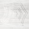 Bianco Dolomite White Marble Field Dimensional Stone MARIANA TRENCH Wall Tile - Livfloors Collection