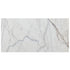 Bianco Rigata Exotic Marble Polished Floor and Wall Tile - Large Format - Livfloors Collection
