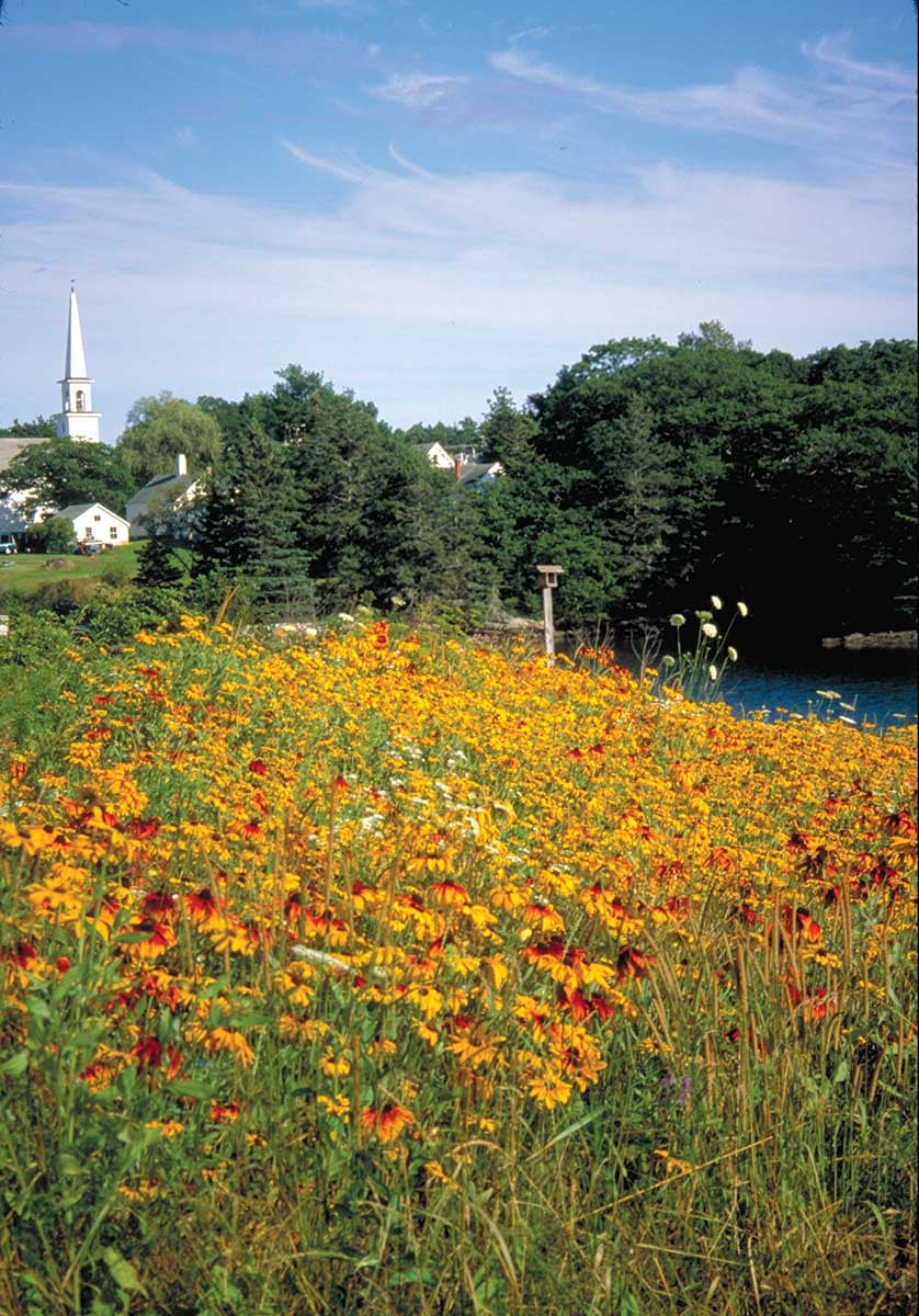 Maine Southern Coast Trail Map