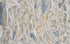 Bluezonai Bookmatching Marble Slabs Polished - Full Truckload